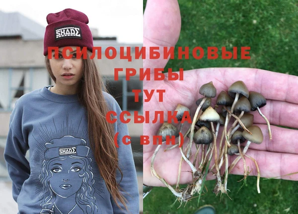 индика Верхнеуральск