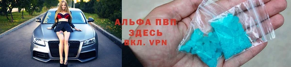 прущие крисы Верея