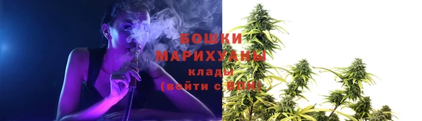 прущие крисы Верея