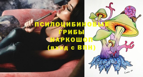 индика Верхнеуральск