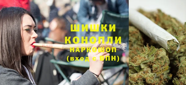 индика Верхнеуральск