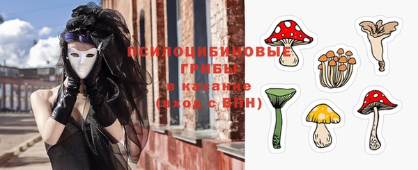 прущие крисы Верея