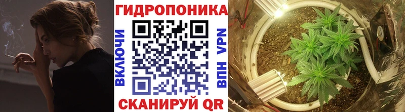 ссылка на мегу как зайти  Новоузенск  Канабис семена 